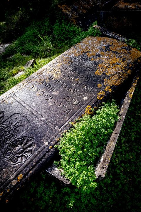 27 novembre 2018 : Les pélérins se rendent au cimetière juif du Borgel au centre de Tunis pour une "hiloula". Cachuètes, Boukha (eau de vie de figue) et prières pour commémorer la mort, il y a 180 ans, de Rebbi Hai Taieb qui était un grand érudit, exégète de la Torah et de la Kabbale. Dans le cadre du pélerinage. Près de 300 pélerins juifs venus principalement de France pour assister au traditionnel pèlerinage sur la tombe de Rebbi Hai Taieb Lo Met. A l’occasion de ce pèlerinage, de nombreux Tunisiens de confession juive se rendent sur la tombe du rabbin ainsi que dans d’autres sanctuaires et lieux de culte juifs comme la Grande Synagogue de Tunis ou celle de la Goulette.