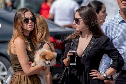 27 juillet 2019 : Obsèques nationales pour le Président de la République Béji Caïd Essebsi, décédé ce 25 juillet à 92 ans. Le cortège funéraire, après une cérémonie au palais présidentiel de Carthage, traverse la capitale Tunis pour rejoindre le caveau de la famille dans le cimetière du Jellaz à Tunis. 