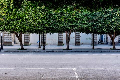 April 4, 2020: Downtown Tunis and its major thoroughfares, including Habib Bourguiba Avenue, were deserted during the government-imposed lockdown due to COVID-19. A curfew was also in effect during this period, from 6 p.m. until 6 a.m. 