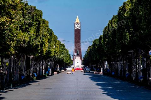 April 4, 2020: Downtown Tunis and its major thoroughfares, including Habib Bourguiba Avenue, were deserted during the government-imposed lockdown due to COVID-19. A curfew was also in effect during this period, from 6 p.m. until 6 a.m. 