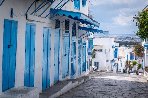 27 mars 2020 : le village touristique de Sidi Bou Saïd pendant le confinement général du au Covid19. D'habitude rempli de tunisiens et de touristes le village est déserté, suels quelmques habitants circulent pour faire leurs courses. 