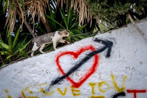 27 mars 2020 : le village touristique de Sidi Bou Saïd pendant le confinement général du au Covid19. D'habitude rempli de tunisiens et de touristes le village est déserté, suels quelmques habitants circulent pour faire leurs courses. 