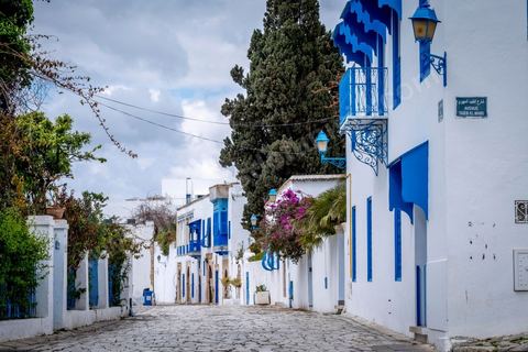 27 mars 2020 : le village touristique de Sidi Bou Saïd pendant le confinement général du au Covid19. D'habitude rempli de tunisiens et de touristes le village est déserté, suels quelmques habitants circulent pour faire leurs courses. 
