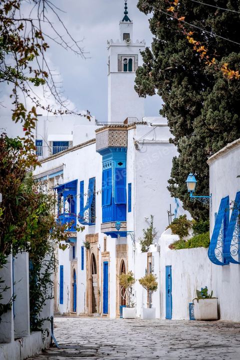 27 mars 2020 : le village touristique de Sidi Bou Saïd pendant le confinement général du au Covid19. D'habitude rempli de tunisiens et de touristes le village est déserté, suels quelmques habitants circulent pour faire leurs courses. 