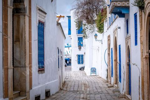 27 mars 2020 : le village touristique de Sidi Bou Saïd pendant le confinement général du au Covid19. D'habitude rempli de tunisiens et de touristes le village est déserté, suels quelmques habitants circulent pour faire leurs courses. 
