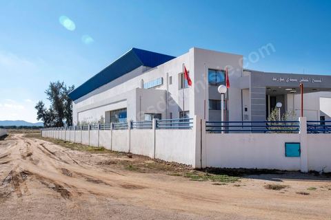 La nouvelle piscine couverte construite dans le quartier de Yasminet a ouvert deux mois, depuis elle est fermée à cause du cout élevé et non programmé par la municipalité. Sidi Bouzid, 10 ans après la révolution le bilan. Il y a 10 ans, le 17 décembre 2010, Mohamed Bouazizi, jeune chomeur, vendeur ambulant de légumes, s'immolait devant le gouvernorat au centre ville. Ce fut le début des manifestations des syndicalistes en région, le début de la révolution tunisienne qui aboutira le 14 janvier 2011 au départ du président dictateur Ben Ali et de sa famille. "Travail, Liberté et Dignité", ces trois mots du slogan des révolutionnaires de 2010 sont encore et toujours aujourd'hui scandés dans les rues de Tunisie. 