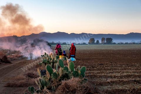A quelques kilomètres de Sidi Bouzid, région agricole, les ouvrières agricoles travaillent depuis 6h du matin à planter des emences d'oignons à l'aide d'un simple couteau. Sidi Bouzid, 10 ans après la révolution le bilan. Il y a 10 ans, le 17 décembre 2010, Mohamed Bouazizi, jeune chomeur, vendeur ambulant de légumes, s'immolait devant le gouvernorat au centre ville. Ce fut le début des manifestations des syndicalistes en région, le début de la révolution tunisienne qui aboutira le 14 janvier 2011 au départ du président dictateur Ben Ali et de sa famille. "Travail, Liberté et Dignité", ces trois mots du slogan des révolutionnaires de 2010 sont encore et toujours aujourd'hui scandés dans les rues de Tunisie. 
