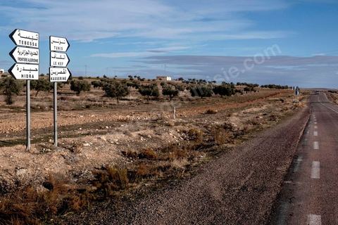 10 décembre 2020 : dans la région de Haidra proche de la frontière  algérienne