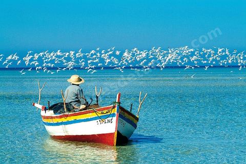 Adjim, sur la côte sud-ouest de Djerba, est le point de départ du bac qui relie l'île au continent, à Jorf, à travers le chenal séparant Djerba de la Tunisie continentale. Le port, encore marqué par une activité de pêche traditionnelle, offre des ambiances changeantes au fil de la journée, entre lever et coucher de soleil sur la mer, bateaux amarrés et silhouettes des jetées.