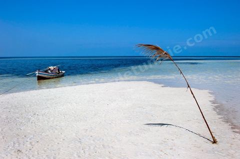 Adjim, sur la côte sud-ouest de Djerba, est le point de départ du bac qui relie l'île au continent, à Jorf, à travers le chenal séparant Djerba de la Tunisie continentale. Le port, encore marqué par une activité de pêche traditionnelle, offre des ambiances changeantes au fil de la journée, entre lever et coucher de soleil sur la mer, bateaux amarrés et silhouettes des jetées.