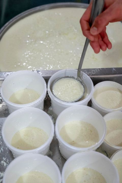 Zied Ben Youssef est fromager, sur les hauteurs de Béja il fait du fromage de Brebis et de vache mais aussi vous invite à sa table d'hôte pour déguster le couscous traditionnel de Béja. Il fait partie du projet de l’Union Européenne ‘Lactimed’. Le fromage est fait en direct au coeur du restaurant avec la transformation quotidienne de 20 à 40 L de lait de fromage frais et ricotta.C’est l’occasion aussi de déguster des produits laitiers frais : du yaourt, de la ricotta, du beurre et du lait de brebis.