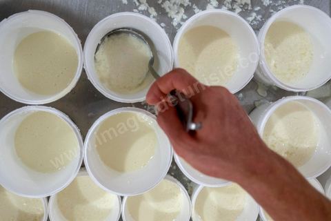 Zied Ben Youssef est fromager, sur les hauteurs de Béja il fait du fromage de Brebis et de vache mais aussi vous invite à sa table d'hôte pour déguster le couscous traditionnel de Béja. Il fait partie du projet de l’Union Européenne ‘Lactimed’. Le fromage est fait en direct au coeur du restaurant avec la transformation quotidienne de 20 à 40 L de lait de fromage frais et ricotta.C’est l’occasion aussi de déguster des produits laitiers frais : du yaourt, de la ricotta, du beurre et du lait de brebis.