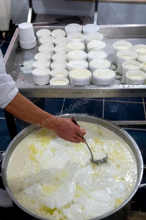Zied Ben Youssef est fromager, sur les hauteurs de Béja il fait du fromage de Brebis et de vache mais aussi vous invite à sa table d'hôte pour déguster le couscous traditionnel de Béja. Il fait partie du projet de l’Union Européenne ‘Lactimed’. Le fromage est fait en direct au coeur du restaurant avec la transformation quotidienne de 20 à 40 L de lait de fromage frais et ricotta.C’est l’occasion aussi de déguster des produits laitiers frais : du yaourt, de la ricotta, du beurre et du lait de brebis.