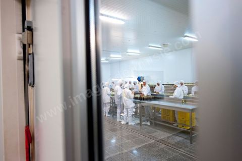 Unité de conditionnement stérile des Moulins Mahjoub à Tébourba près de Tunis. Agriculture et produits Biologiques.