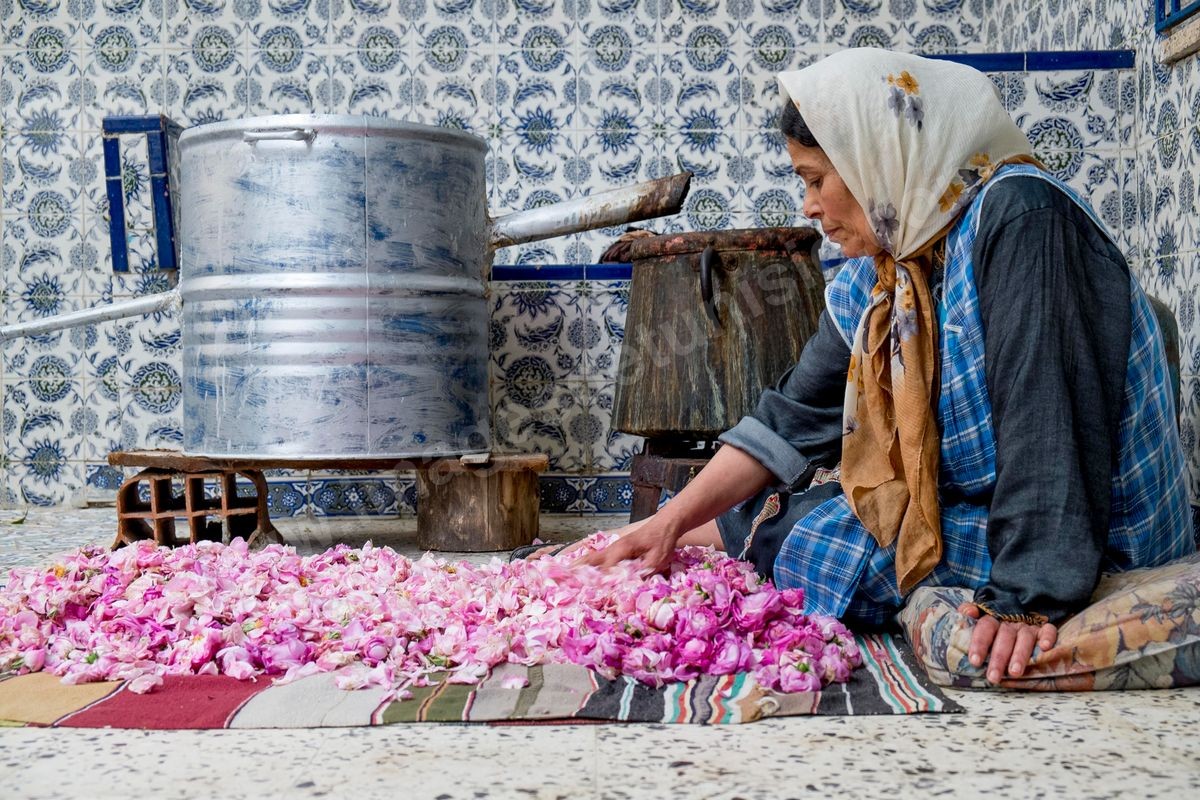 La distillerie de fleurs de rose