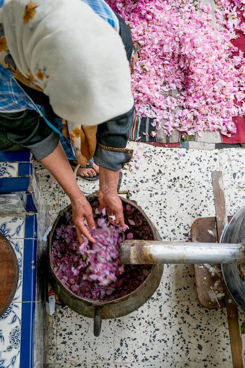 Distillation traditionnelle de fleurs de rose dans maison de la région de Nabeul au Cap Bon. L'eau et l'essence de rose proviennent de la distillation des fleurs de rose. La distillation est conduite très doucement sur le feu, l'hydrolat coule dans des Marie-Jeannes en verre. Le distillat coule légèrement tiède. 1 kg de pétale produit environ 1,5 litres d'eau de roses.