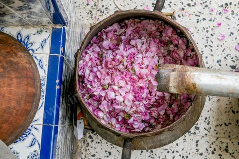 Distillation traditionnelle de fleurs de rose dans maison de la région de Nabeul au Cap Bon. L'eau et l'essence de rose proviennent de la distillation des fleurs de rose. La distillation est conduite très doucement sur le feu, l'hydrolat coule dans des Marie-Jeannes en verre. Le distillat coule légèrement tiède. 1 kg de pétale produit environ 1,5 litres d'eau de roses.