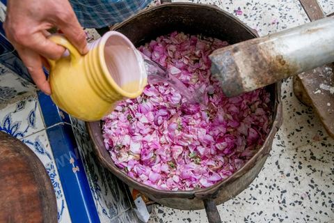 Distillation traditionnelle de fleurs de rose dans maison de la région de Nabeul au Cap Bon. L'eau et l'essence de rose proviennent de la distillation des fleurs de rose. La distillation est conduite très doucement sur le feu, l'hydrolat coule dans des Marie-Jeannes en verre. Le distillat coule légèrement tiède. 1 kg de pétale produit environ 1,5 litres d'eau de roses.