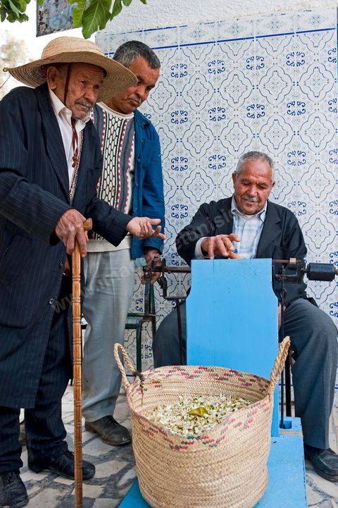 Marché traditionnel des fleurs d'orangers à , les cultivateurs apportent ici leur cueillette destinées aux producteurs et particuliers. 