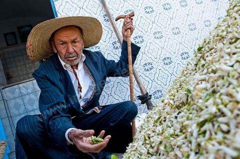 Marché traditionnel des fleurs d'orangers à , les cultivateurs apportent ici leur cueillette destinées aux producteurs et particuliers. 