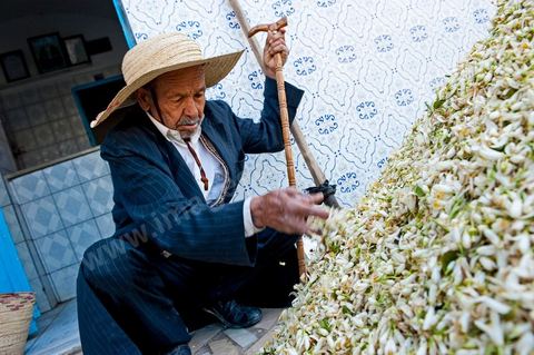 Marché traditionnel des fleurs d'orangers à , les cultivateurs apportent ici leur cueillette destinées aux producteurs et particuliers. 