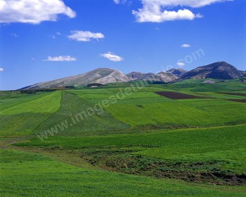 Paysage du Tell sur la route entre Mateur et Sejenane
