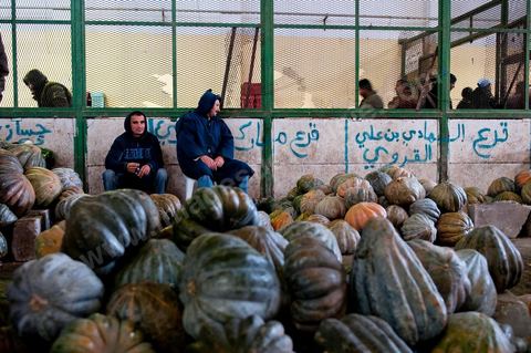 Vendeur et étales de courges à la Halle aux fruits et légumes du marché de gros de Tunis à El Mourouj