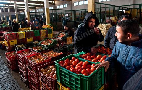 Vendeur et étales de tomates et oranges à la Halle aux fruits et légumes du marché de gros de Tunis à El Mourouj