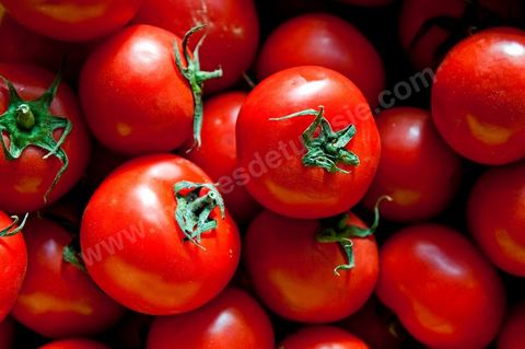 Tomates - Halle aux fruits et légumes du marché de gros de Tunis à El Mourouj