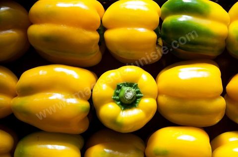 Poivrons jaunes - Halle aux fruits et légumes du marché de gros de Tunis à El Mourouj