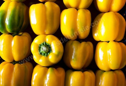 Poivrons jaunes - Halle aux fruits et légumes du marché de gros de Tunis à El Mourouj