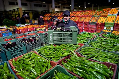 Etale et vendeurs de tomates, poivrons et oranges à la Halle aux fruits et légumes du marché de gros de Tunis à El MouroujHalle aux fruits et légumes du marché de gros de Tunis à El Mourouj
