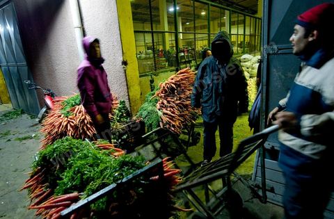 Chargement à l'entrée d'une des trois Halles aux fruits et légumes du marché de gros de Tunis à El Mourouj