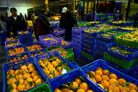 Vendeur et étales de oranges à la Halle aux fruits et légumes du marché de gros de Tunis à El Mourouj