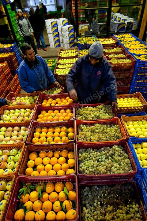 Vendeur et étales de raisins, oranges et pommes à la Halle aux fruits et légumes du marché de gros de Tunis à El Mourouj