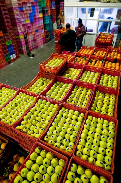 Vendeur et étales de pommes à la Halle aux fruits et légumes du marché de gros de Tunis à El Mourouj