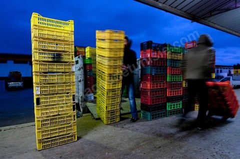 Chargement à l'entrée d'une des trois Halles aux fruits et légumes du marché de gros de Tunis à El Mourouj
