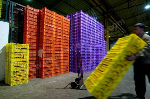 Chargement à l'entrée d'une des trois Halles aux fruits et légumes du marché de gros de Tunis à El Mourouj