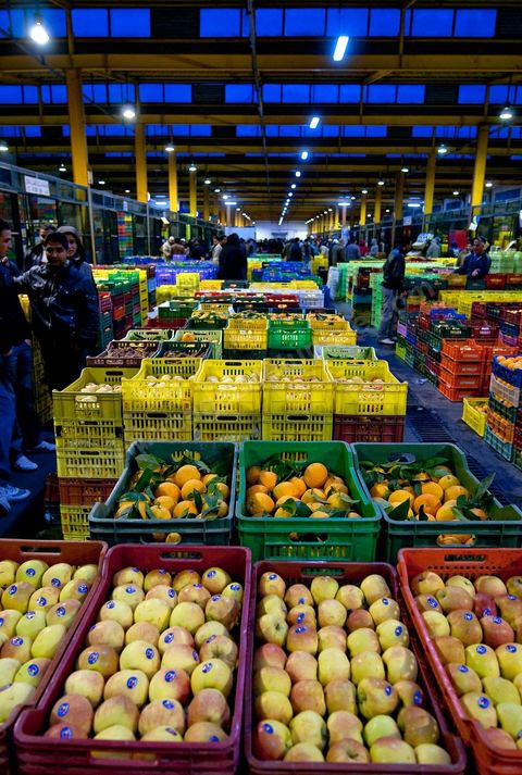Vendeur et étales de oranges et pommes à la Halle aux fruits et légumes du marché de gros de Tunis à El Mourouj