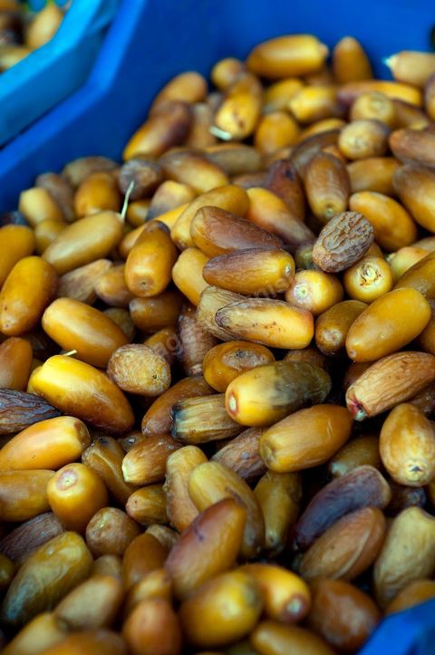 Dattes - Halle aux fruits et légumes du marché de gros de Tunis à El Mourouj