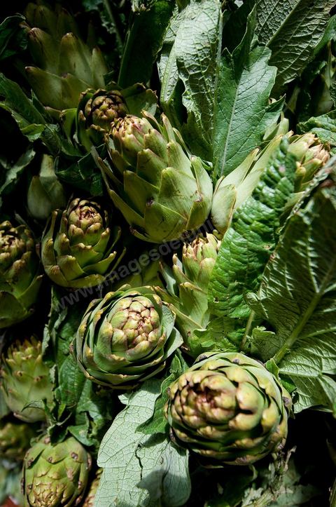 Artichauts - Halle aux fruits et légumes du marché de gros de Tunis à El Mourouj