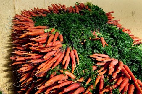 Carottes - Halle aux fruits et légumes du marché de gros de Tunis à El Mourouj