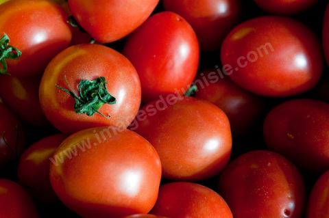 Tomates - Halle aux fruits et légumes du marché de gros de Tunis à El Mourouj