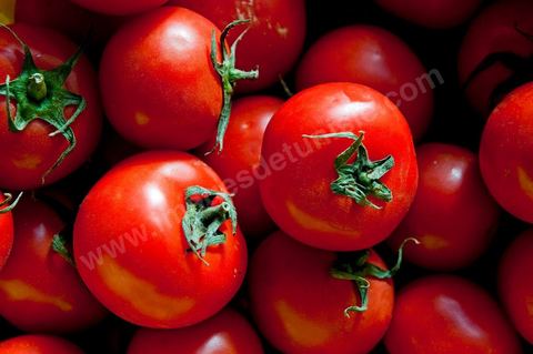Tomates - Halle aux fruits et légumes du marché de gros de Tunis à El Mourouj