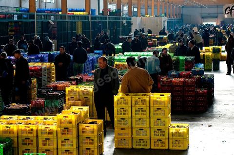 Vue génrale intérieure d'une Halle aux fruits et légumes du marché de gros de Tunis à El Mourouj