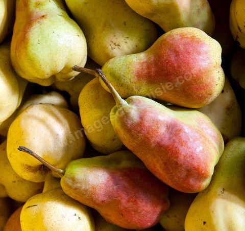 Poires - Halle aux fruits et légumes du marché de gros de Tunis à El Mourouj