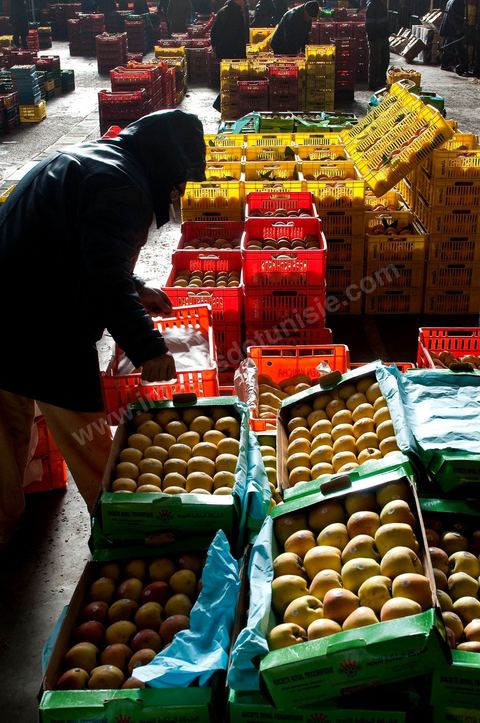 Vendeur et étales de poires et pommes à la Halle aux fruits et légumes du marché de gros de Tunis à El Mourouj