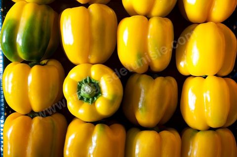 Poivrons jaunes - Halle aux fruits et légumes du marché de gros de Tunis à El Mourouj