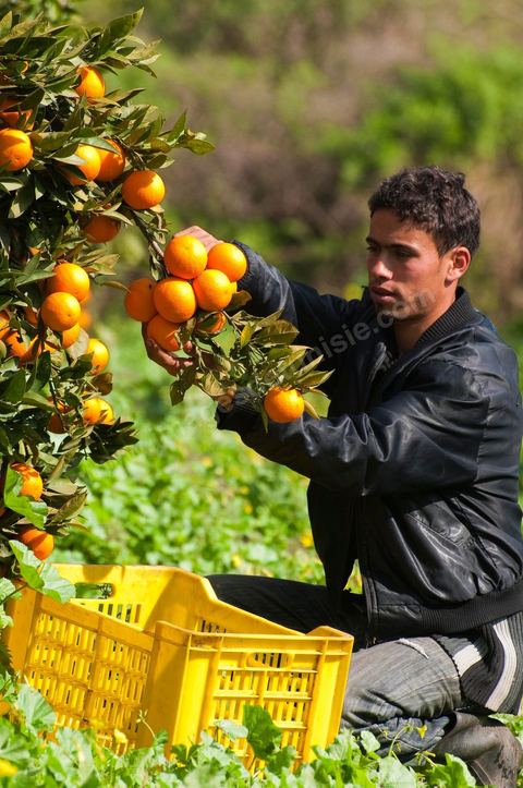 I39-059