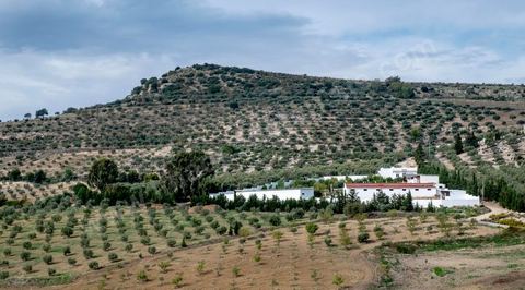 Au domaine Ben Ismail, situé à Toukaber, près Medjez el Bab ets un domaine agricole ou se produit une huile bio et raffinée mais également du fromage de chèvre de la race « dmen », le développement d’un tourisme alternatif basé sur l’agrotourisme est en cours. viviste du domaine avec Mohamed Ben Ismail.